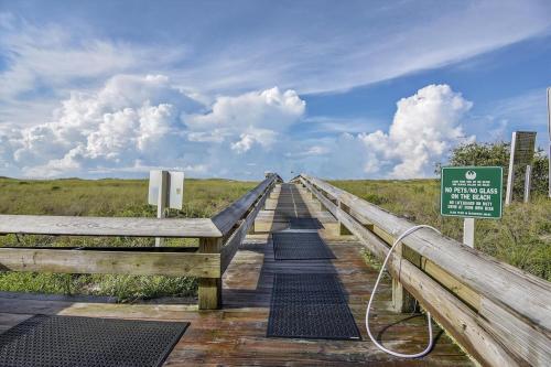 Phoenix 6 011, Orange Beach (fotografie 9)