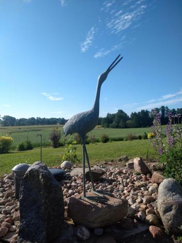 Dom pod Srebrnym Żurawiem Dom pod Srebrnym Żurawiem