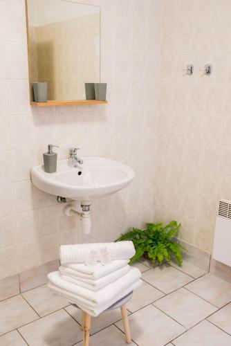 Penzion U Dřevěného ptáka Room Type - Triple Room with Private Bathroom