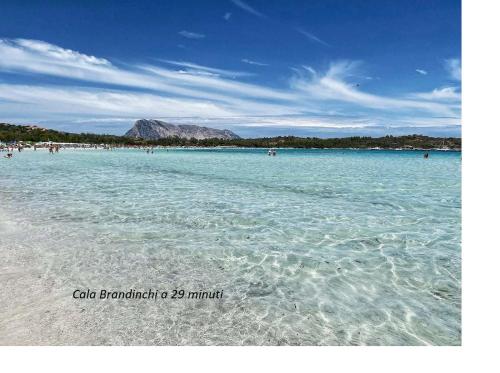  APPARTAMENTO CORALLO with PRIVATE GARDEN in Olbia
