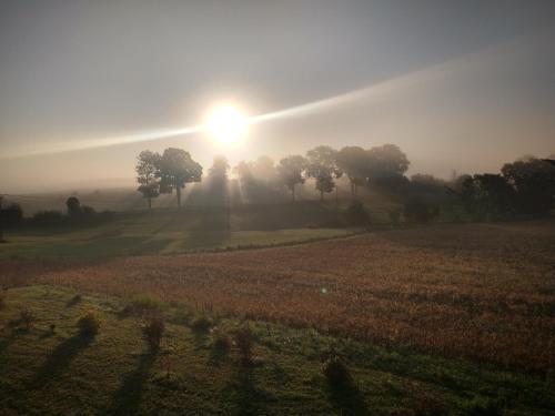 Dom pod Srebrnym Żurawiem Dom pod Srebrnym Żurawiem