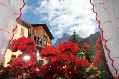 Dolomites Holidays - Apartment - Selva di Cadore