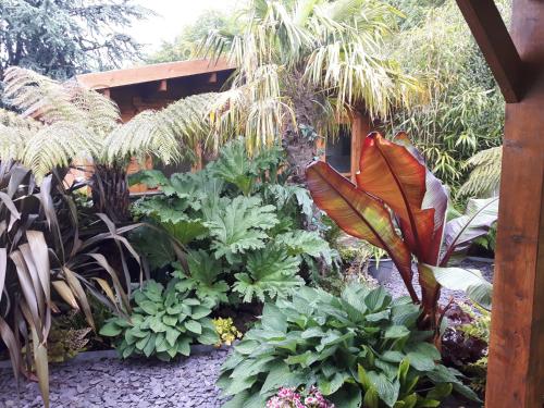cabin set in a beautiful romantic tropical garden in Sutton Coldfield