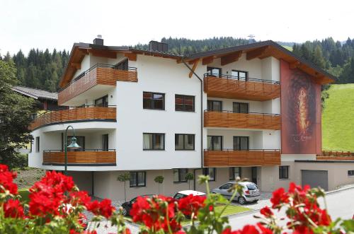 Aparthotel Rubinius in Wagrain, Österreich