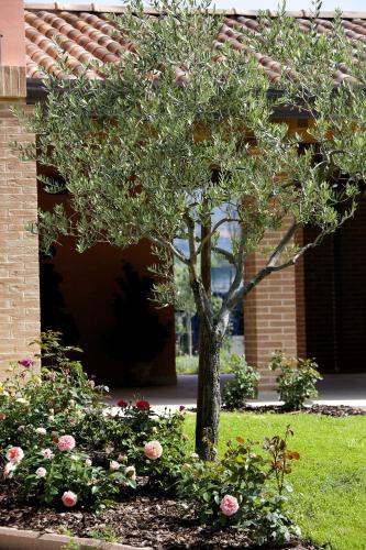 Campiglione Hotel - image 5