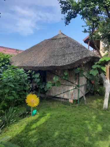 Casa Boby, Murighiol (foto 8)