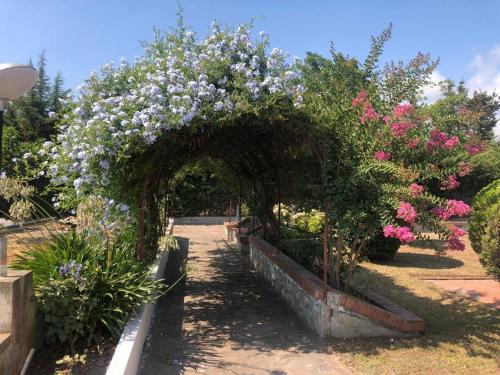  Porzione di villa immersa nel verde in Scalea