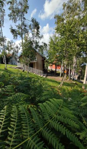 Divčibarka - Location saisonnière - Divčibare