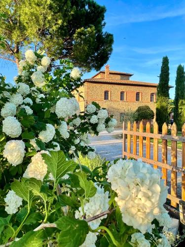 Agriturismo La Colmata