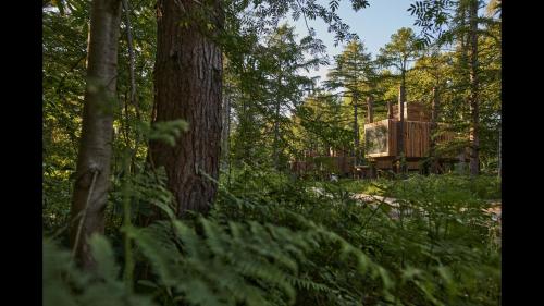 Treeloft adventure in nature for 4 people 13 gîte à louer Vezonchaux