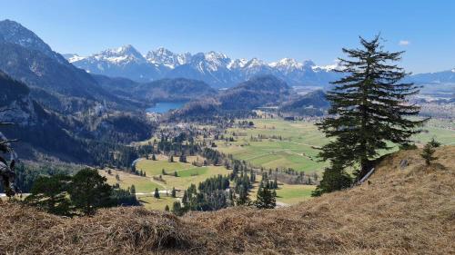 Alpina Sonnen-Appartements - image 7