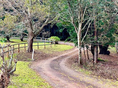 Tamborine Mountain Lodge