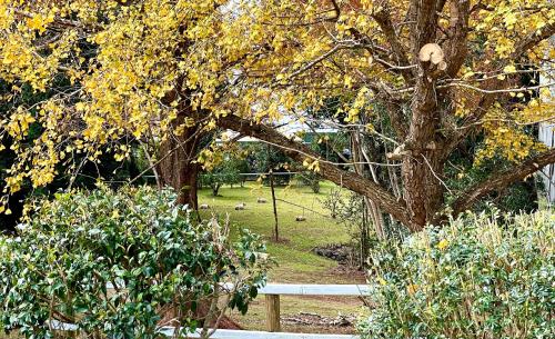 Tamborine Mountain Lodge