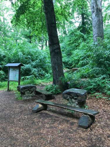 Ferienwohnung Auszeit am Kurpark