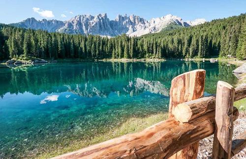 Appartamenti Val di Fassa Passo Costalunga 223, 119, 114