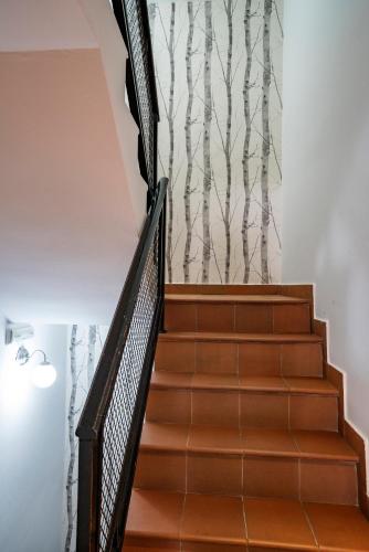 카세레스 Hostal Plaza de Italia 3성급 호텔 부대시설