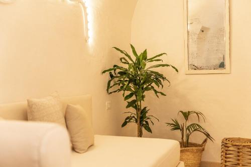 B&B Centro Storico - image 12