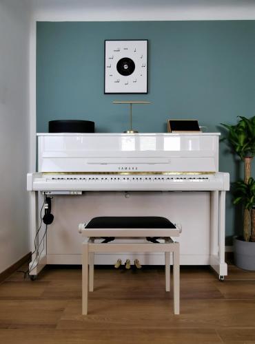 Neues City Center Piano Appartement mit Netflix