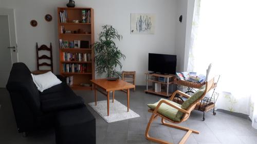 Homal, Konstancja (zdjęcie 7)