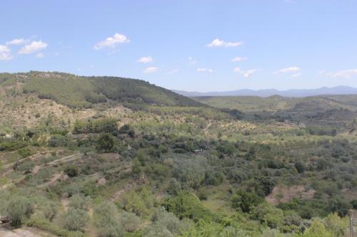 Hotel Antonio Ponz