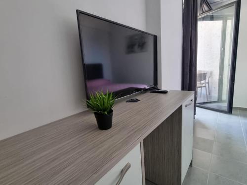 One-Bedroom Apartment image 10