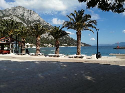 Lina, Gradac (Grado) (foto 7)