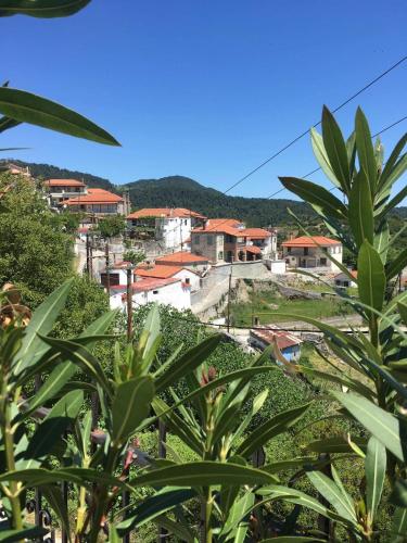Apkārtne, North Evia Evanthia Greece in Agia Anna (Euboea)