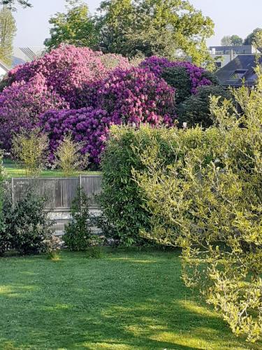 Manoir de l'As de Trèfle