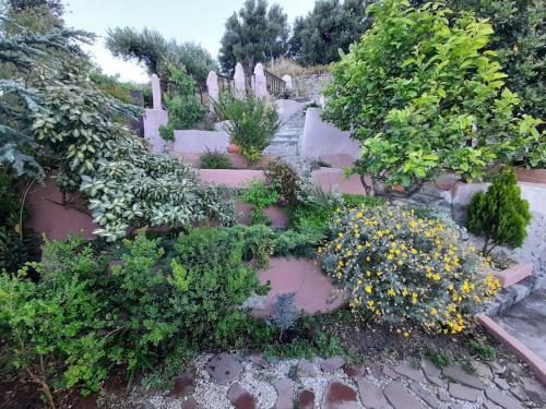 A Traditional Cretan House with a Unique View gîte à louer Adrianós