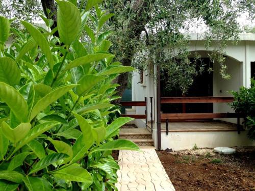 Holiday Apartment orchidea with swimming pool and private beach -3