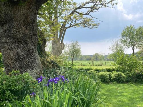 Chambre d’hôtes Douce Heure de Chêne