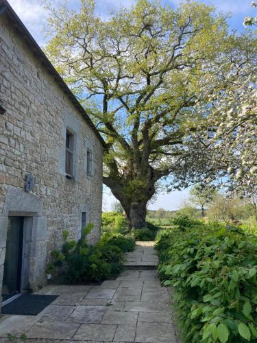 Chambre d’hôtes Douce Heure de Chêne