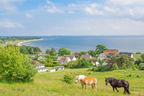 Haus Inselwind FeWo MEERstrand mit Schwimmbad und Saunanutzung im AHOI-Erlebnisbad Sellin - image 4