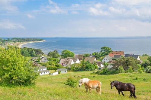 Ferienwohnung mit Meerblick und Gartennutzung - Haus Inselwind FeWo MEERsicht