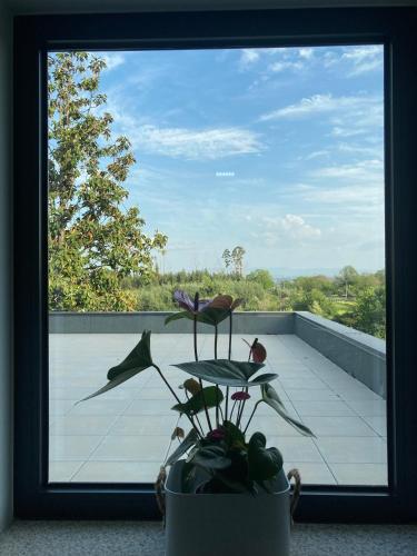 ระเบียง/ชานเรือน, Quintinha Silvestre in ตอนดา