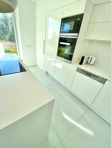 Küche, Modern 4 Bedroom Villa in Bebrusai in Moletai