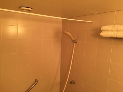 Chisun Hotel Kamata, Tokyo (foto 6)