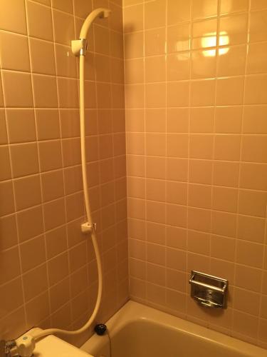 Chisun Hotel Kamata, Tokyo (foto 8)