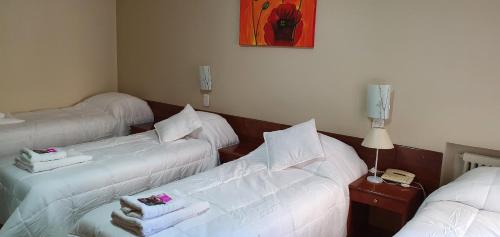 Hotel AATRAC Buenos Aires, Buenos Aires (fotografie 10)