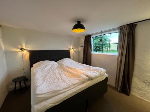 1 king bed, 1 bunk bed, 1 sofa bed