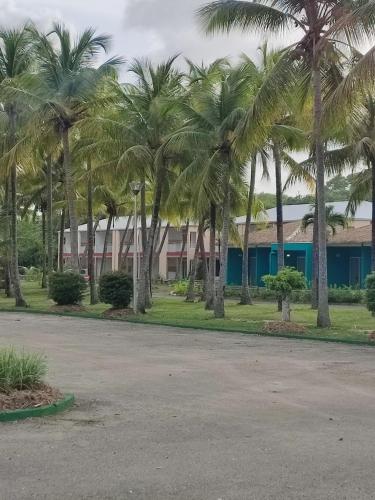 Studio Toumalacai - Location saisonnière - Grand-Bourg