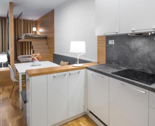 Suites & Apartments Medvědín - image 3