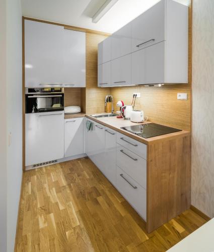 Suites & Apartments Medvědín - image 13