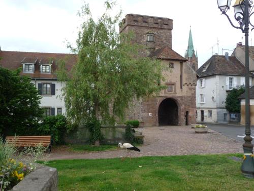 Appartement Sur La Route des Vins d'Alsace