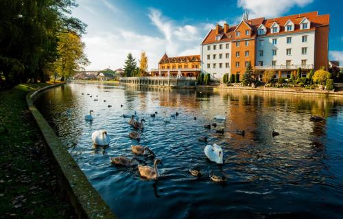 Hotel Nad Pisą