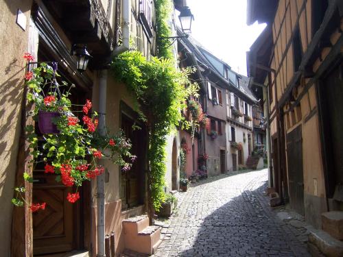 Appartement Sur La Route des Vins d'Alsace