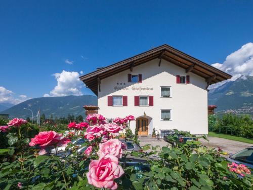 Guesthouse Pension Grafenstein - image 2