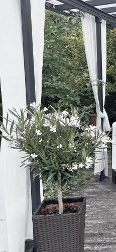 Apartment Ammersbek - image 13