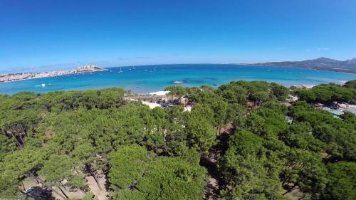 Camping la Pinède
