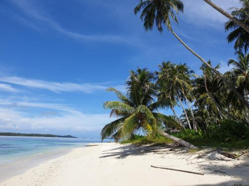 Tailana Island Pulau Banyak